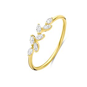 ring zirconia